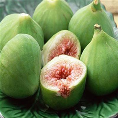 糖尿病能吃什么水果 糖尿病能吃什么水果和蔬菜和肉