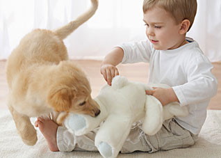 宝宝被宠物咬伤该如何处理 被宠物咬伤了怎么办