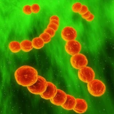 猩红热的传染源主要有什么 猩红热的传染源和传播途径