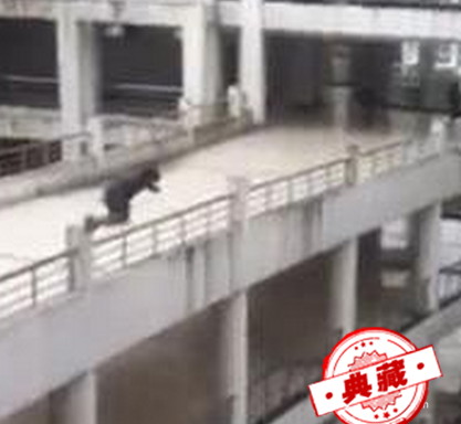 怎么增强心理承受能力 增强心理承受能力的方法