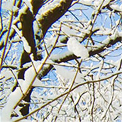 季节性皮肤过敏怎么治疗有效果 季节性皮肤过敏怎么治疗有效果呢