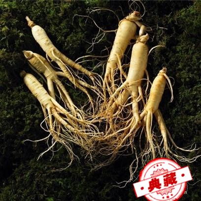 拔丝人参做法（拔丝人参怎么做）