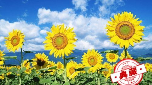 春天吃什么可以去火 春天吃什么可以去火去湿气