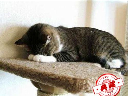 如何治好情绪病（如何治好情绪病）