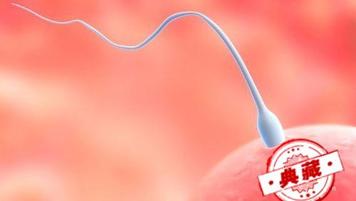 如何提高精子活力 如何提高生精质量