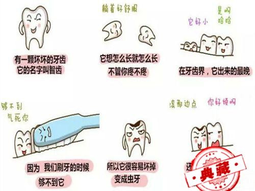 长智齿好痛怎么办 长智齿好痛怎么办啊