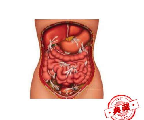 中医怎么治粘连性肠梗阻 治疗粘连肠梗阻中医偏方