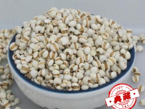 简便方法治愈跖疣----炒薏仁炙甘草汤（节节草治跖疣）