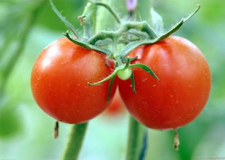 冬天减肥的几个方法 冬天减肥的几个方法图片