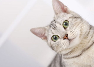 懒人刘海麻花辫简单编法（刘海麻花辫图片教程）