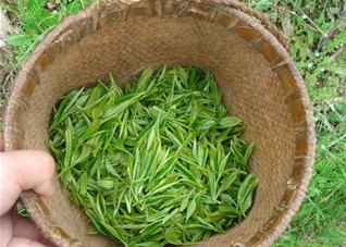 如何喝茶能喝出苗条身材 如何喝茶能喝出苗条身材的感觉