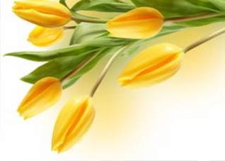 选择妙桃假体隆胸是否安全（妙桃假体隆胸手术）