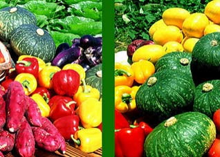 去除粉刺最有效的四个方法 去除粉刺的最好方法