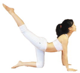 怎么样能瘦腿呢 怎么样能瘦腿呢男生