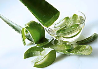 为你具体分析芦荟的美容功效（为你具体分析芦荟的美容功效和作用）