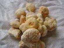 小细胞肺癌治疗偏方 肺癌小细胞癌的治疗方法