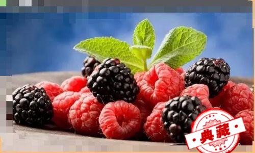 快速治疗高血压秘方-----桑葚食疗法 桑葚 降血压