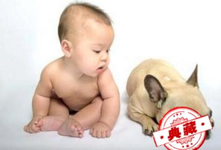 【宝贝】狂犬疫苗打了要注意些什么 婴儿打完狂犬疫苗注意事项