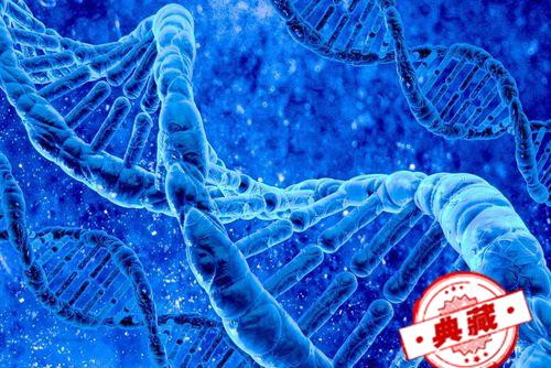 艾滋病初期怎么治疗 艾滋病初期怎么治疗 艾滋病初期治疗方法