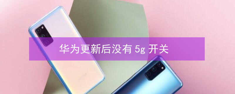 华为更新后没有5g开关（华为更新之后没有5g）