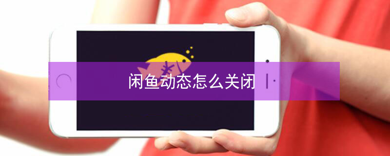 闲鱼动态怎么关闭（闲鱼动态怎么关闭掉）
