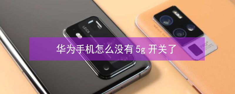 华为手机怎么没有5g开关了（华为手机 没有5g）