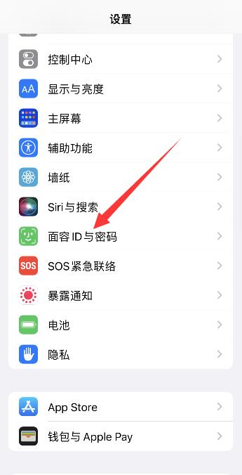 iPhone手机开发者选项在哪里