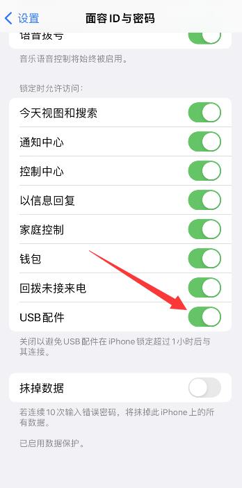 iPhone手机开发者选项在哪里