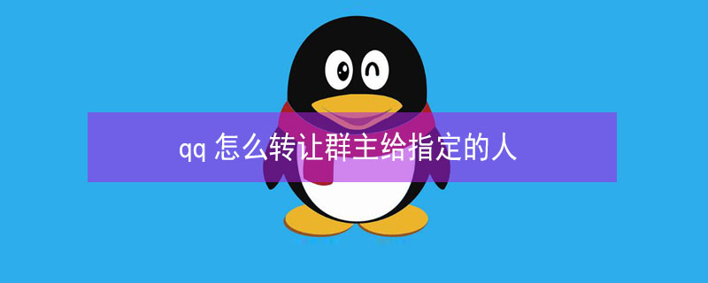 qq怎么转让群主给指定的人 qq怎么转让群主给指定的人看