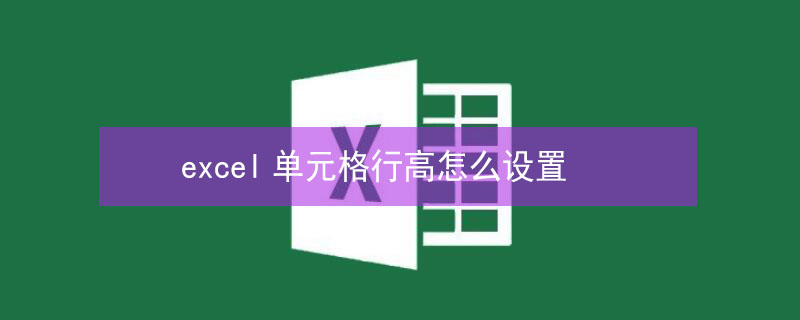 excel单元格行高怎么设置 excel单元格行高怎么设置固定行高
