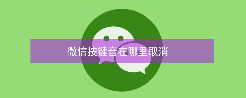 微信按键音在哪里取消（苹果手机微信按键音在哪里取消）