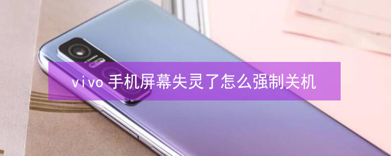 vivo手机屏幕失灵了怎么强制关机 手机屏幕亮着但是死机