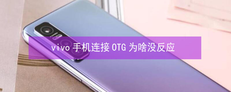 vivo手机连接OTG为啥没反应 vivo手机为什么连不上OTG