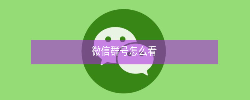 微信群号怎么看 微信群号怎么看不到