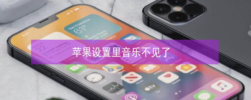 iPhone设置里音乐不见了 苹果音乐选项不见了