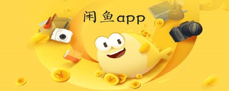 闲鱼怎么看自己的分数（怎么查看闲鱼分数）