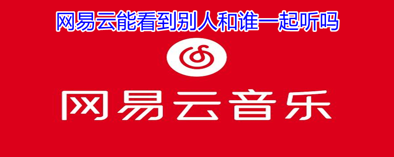 网易云能看到别人和谁一起听吗（网易云能看到别人在一起听吗）