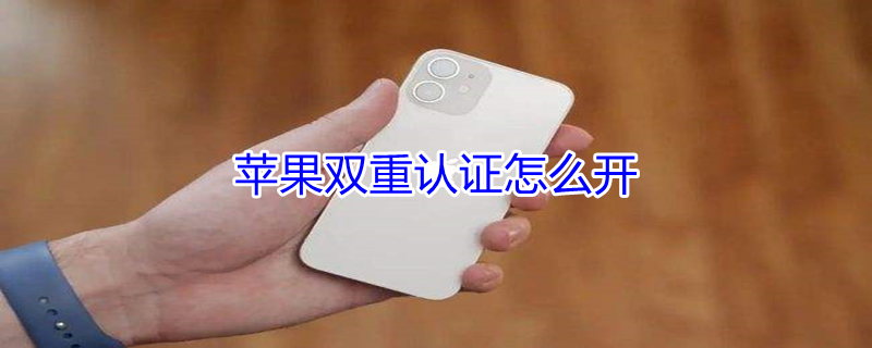 iPhone双重认证怎么开（苹果双重认证怎么开）