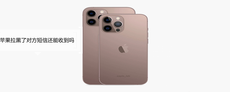 iPhone拉黑了对方短信还能收到吗（iphone拉黑后短信还能收到吗）
