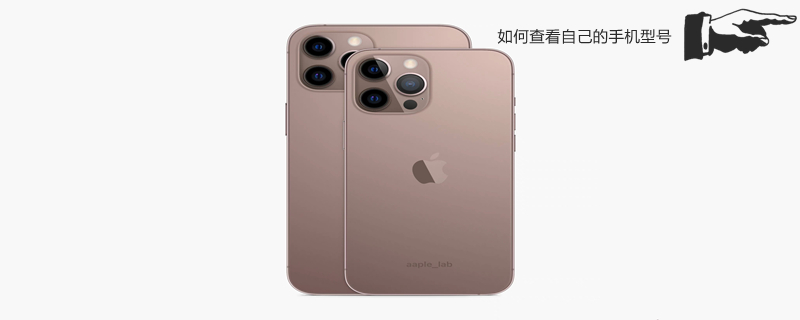 如何查看自己的手机型号 如何查看自己的手机型号vivo