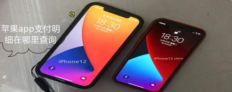 iPhoneapp支付明细在哪里查询（查看iphone支付明细）