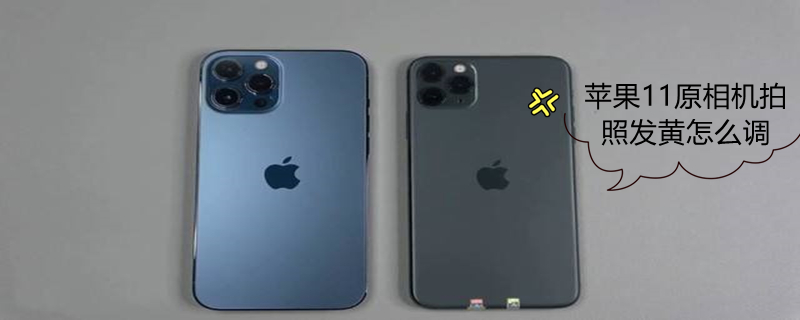 iPhone11原相机拍照发黄怎么调 苹果11原相机拍照发黄怎么调