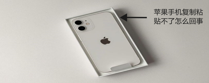 iPhone手机复制粘贴不了怎么回事（苹果手机复制粘贴不了怎么回事）