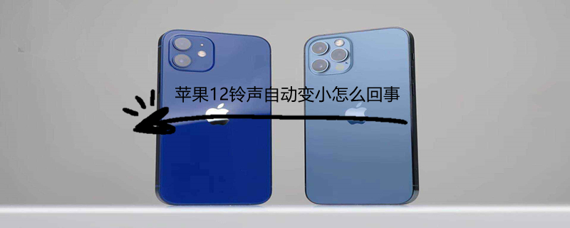 iPhone12铃声自动变小怎么回事 苹果12手机铃声为什么会自动变小