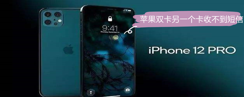 iPhone双卡另一个卡收不到短信（iphone双卡另一个卡收不到短信怎么办）