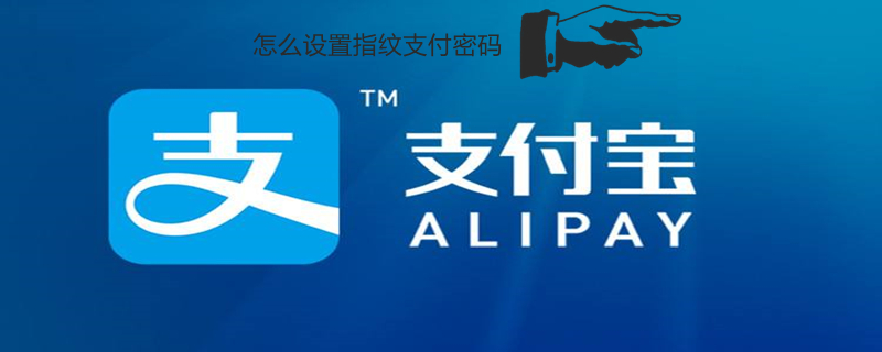 怎么设置指纹支付密码（怎么设置指纹支付密码OPPO手机）