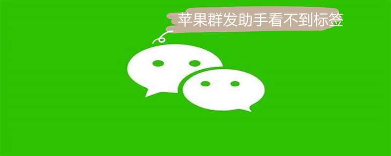 iPhone群发助手看不到标签（苹果群发怎么找不到标签）
