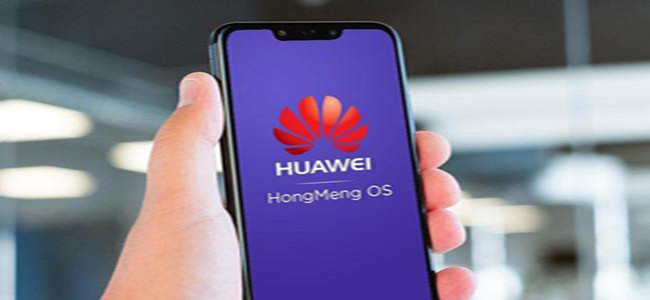怎么看自己手机号码（怎么看自己手机号码vivo）
