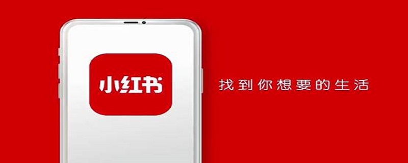 iPhone手机小红书怎么复制文字（苹果手机小红书怎么复制文字）