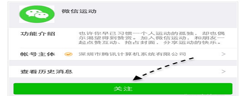 我的步数在哪里看（如何看我的步数）